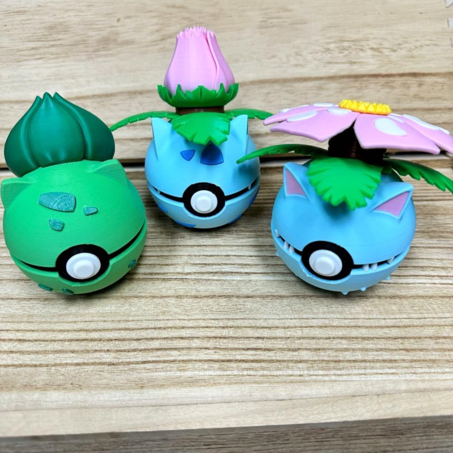 Bulbasaur, Ivysaur, & Venusaur PokeBall - G&B Printing